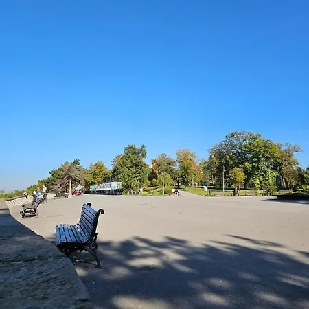 Rajiceva Belgrade