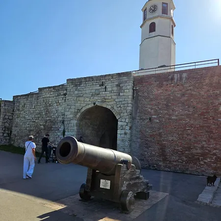 Rajiceva Belgrade