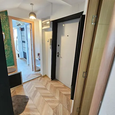 Rajiceva Belgrade